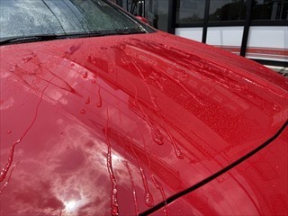 IMG_9161.JPG